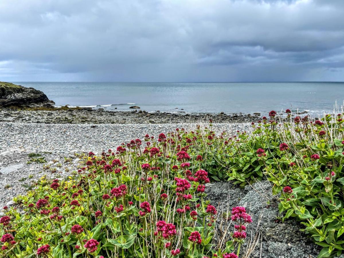 Вилла Mynydd A Mor Trefor  Экстерьер фото